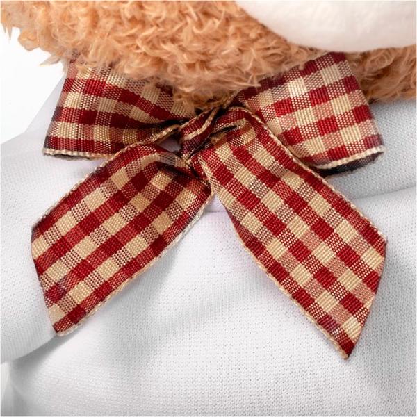 Oso de peluche + foto + texto