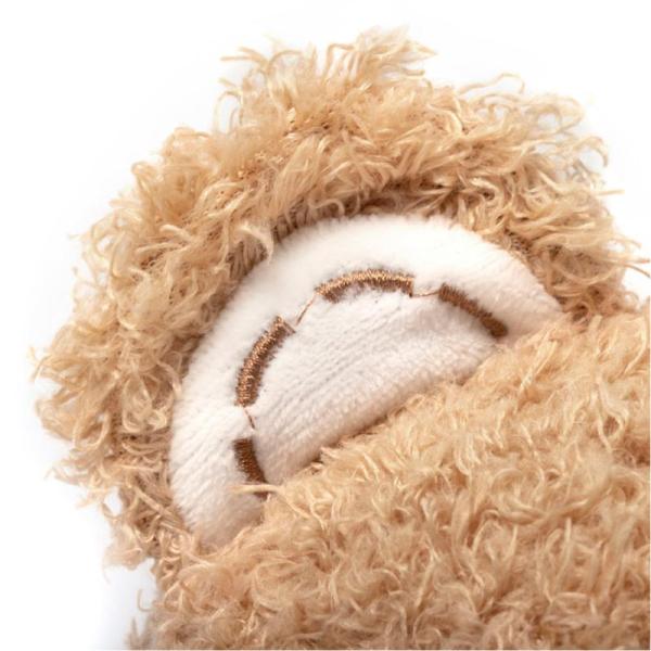 Oso de peluche + foto + texto