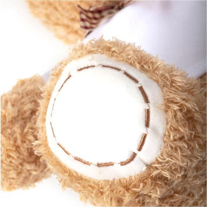Oso de peluche + foto + texto