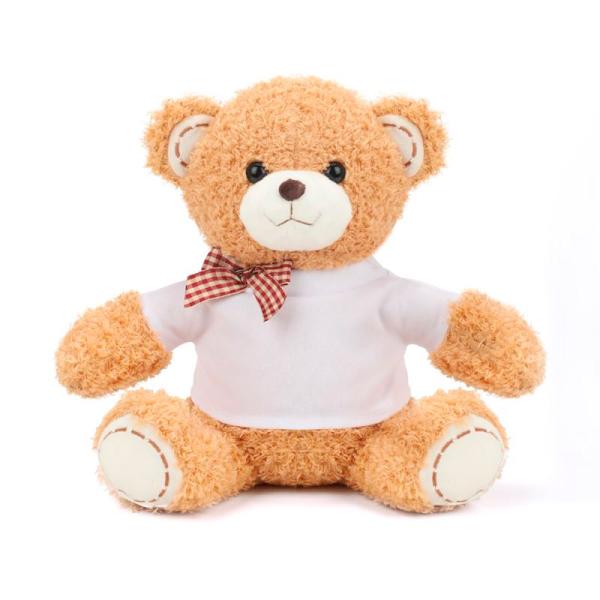 Oso de peluche + foto + texto