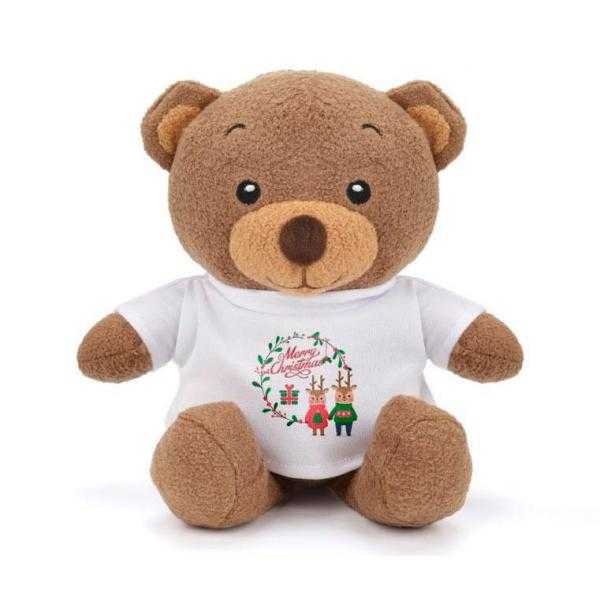 Oso de peluche + foto + texto
