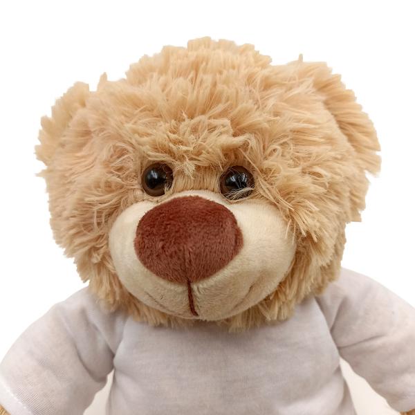 Oso de peluche + foto + texto